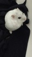 Gorki hamster en adopción