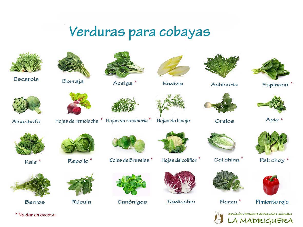 Que verduras pueden comer los celiacos
